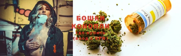 PSILOCYBIN Липки