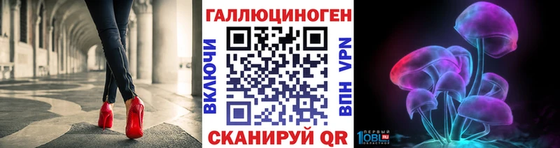 Купить закладки  Абакан  Псилоцибиновые грибы GOLDEN TEACHER 